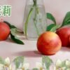 LINE_NOTE_250808_2 LEON小油